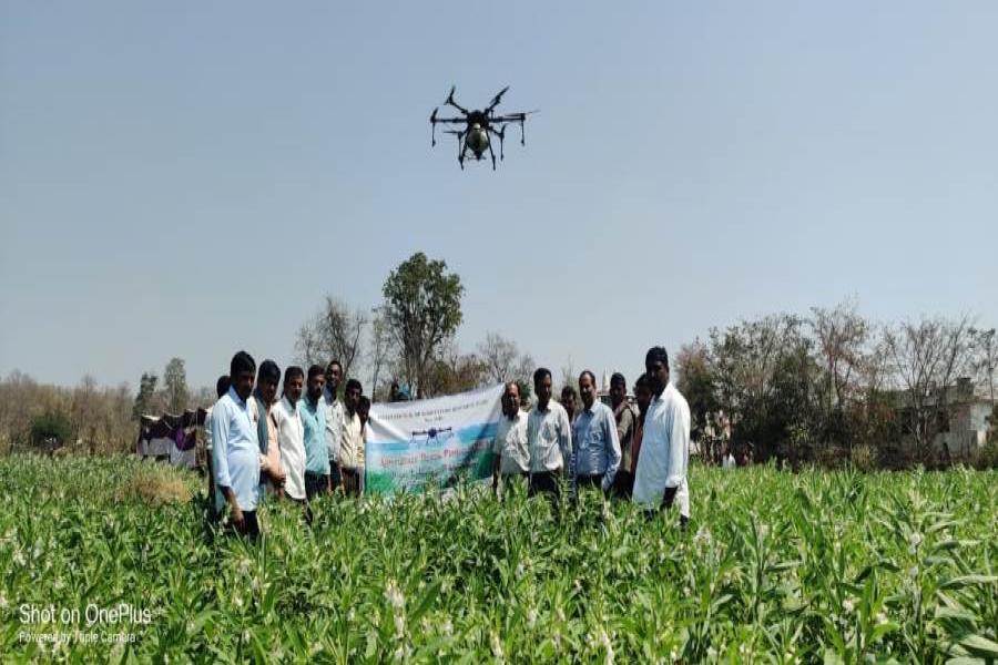 Sesame Field Day and Agri-Drone demonstrations in Bavapur Village on 22.03.2024