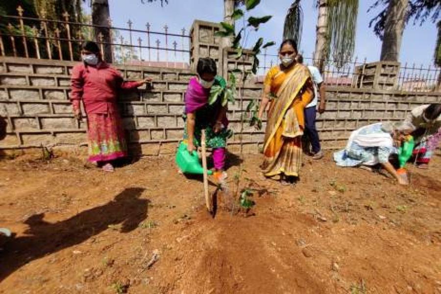 Tree plantation Under Bharat ka Amrit Mahostav
