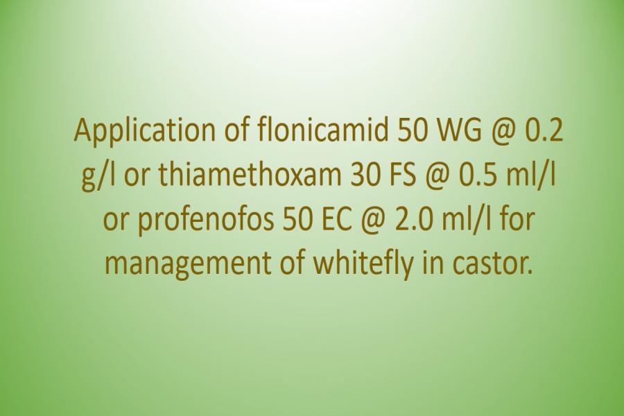 Application of flonicamid 50 WG @ 0.2 g/l or thiamethoxam 30 FS @ 0.5 ml/l or profenofos 50 EC @ 2.0 ml/l for management of whitefly in castor.
